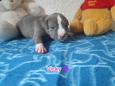 Vicky 