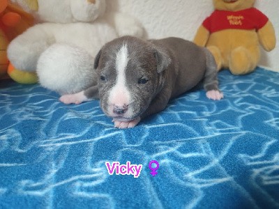 Vicky 